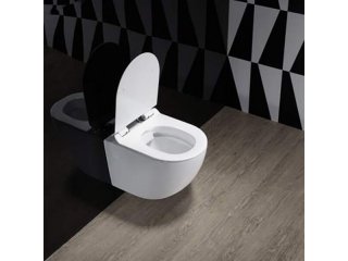 Унитазы Cerutti