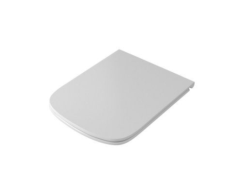 Крышка с сиденьем DP микролифт для унитаза OWLT190402