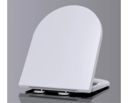Сиденье для унитаза WeltWasser WW 2129GL-WT